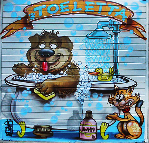 toeletta